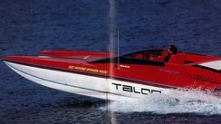Talon 25